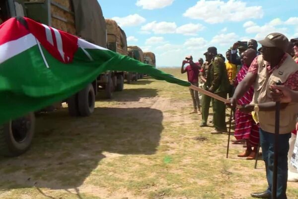 Kenya’daki Ulusal Parklarda Vahşi Hayvanlar İçin Yiyecek Dağıtıldı