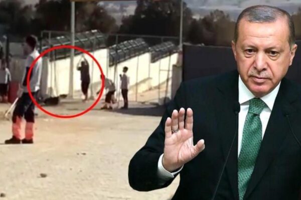 Son Dakika! Cumhurbaşkanı Erdoğan’dan Konya’daki köpek katliamına tepki: İki vicdansızın yaptıklarını ben de üzüntüyle izledim