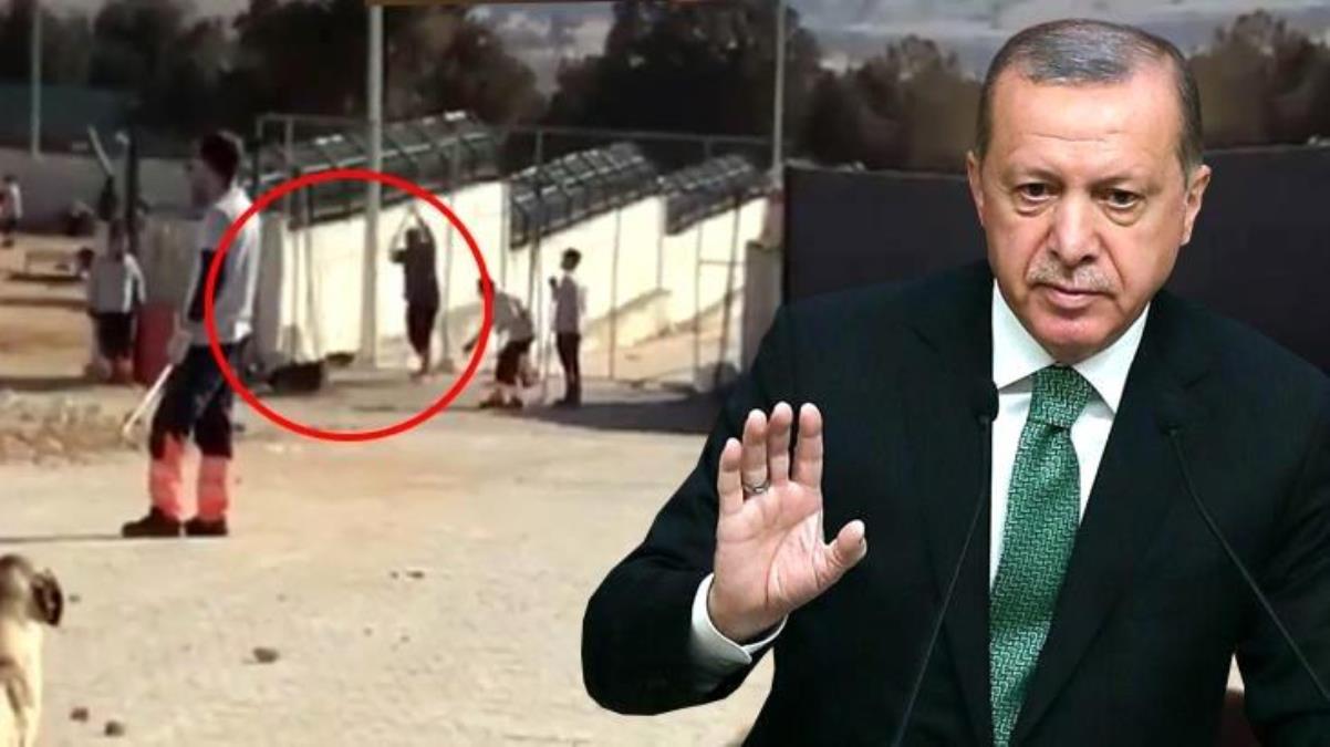 Son Dakika! Cumhurbaşkanı Erdoğan’dan Konya’daki köpek katliamına tepki: İki vicdansızın yaptıklarını ben de üzüntüyle izledim